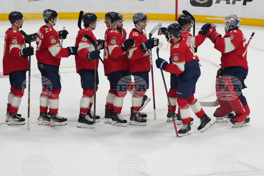 Maple Leafs Panthers Hockey