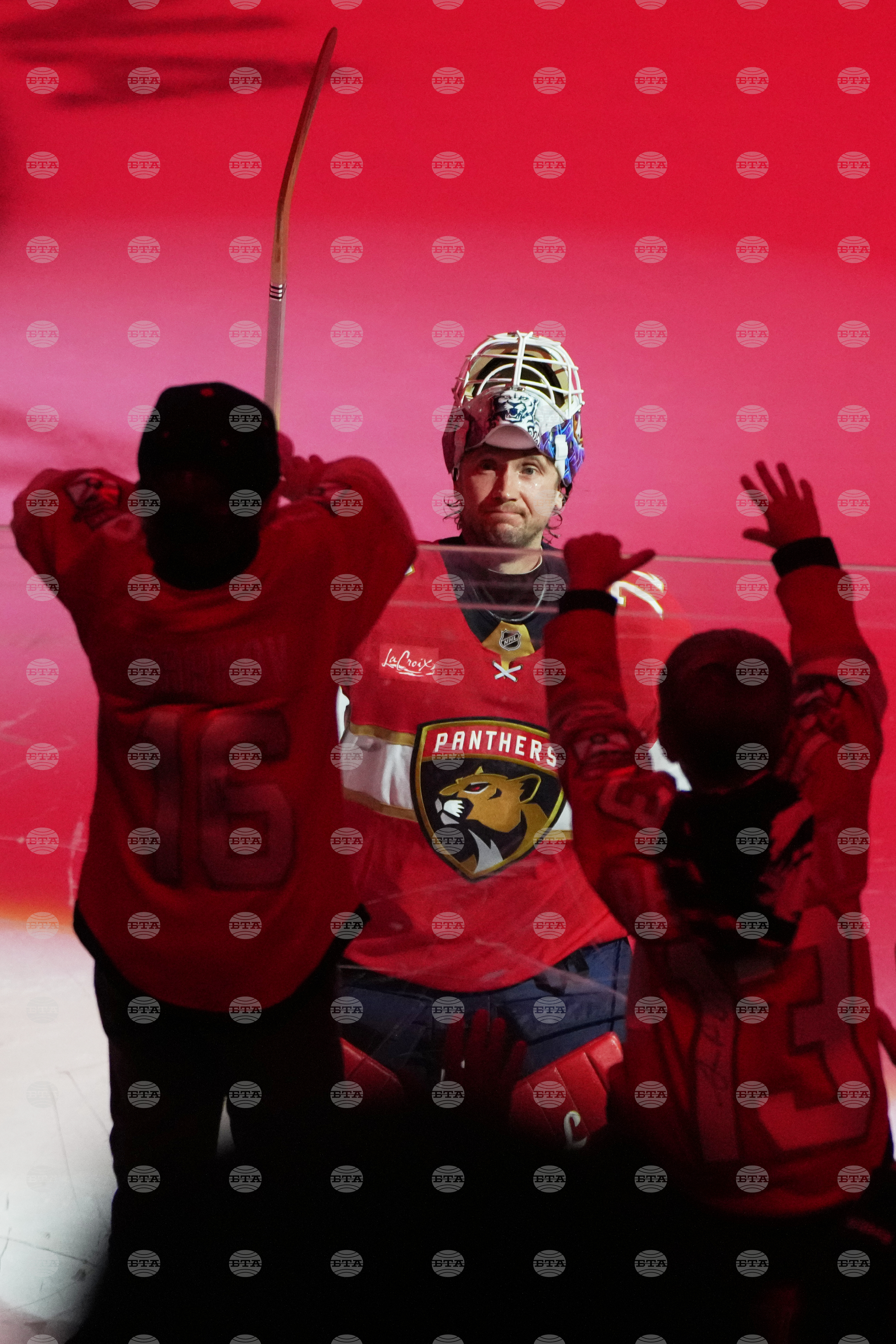 Maple Leafs Panthers Hockey