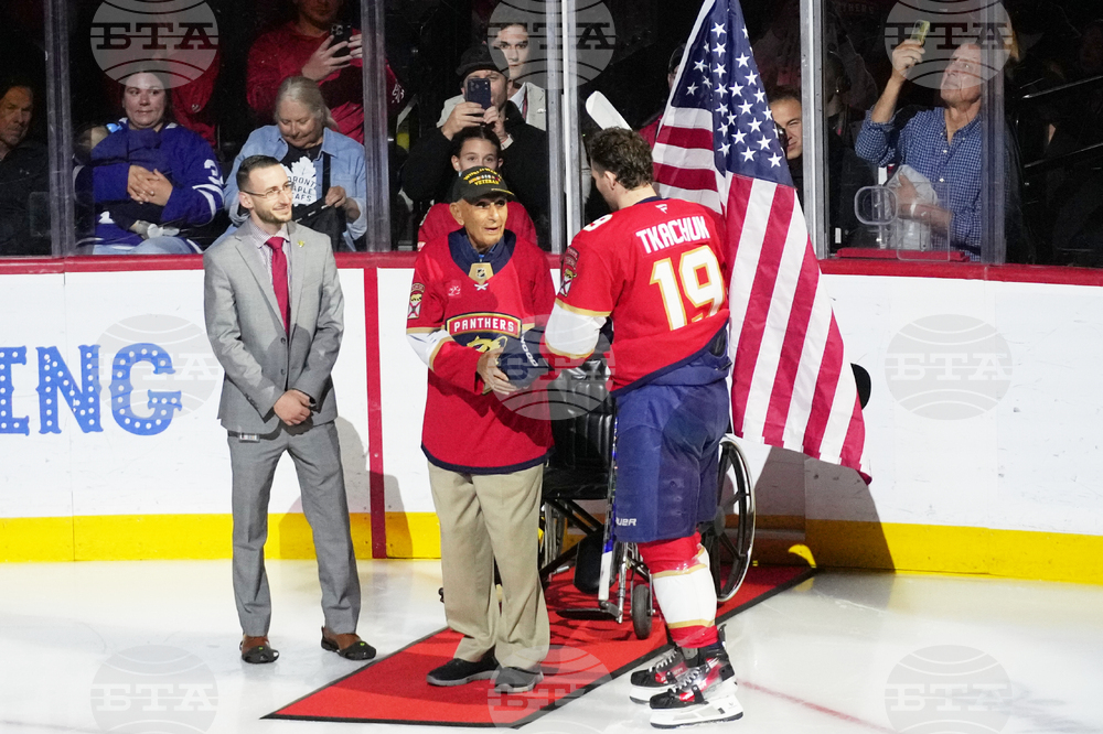 Maple Leafs Panthers Hockey