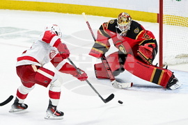Red Wings Senators Hockey