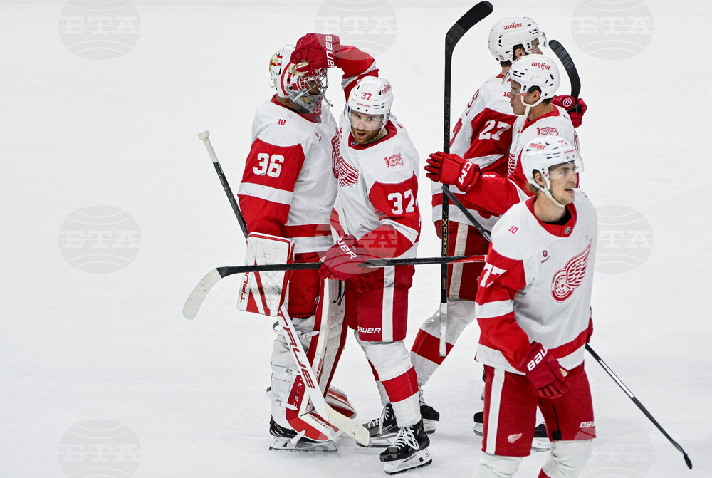 Red Wings Senators Hockey