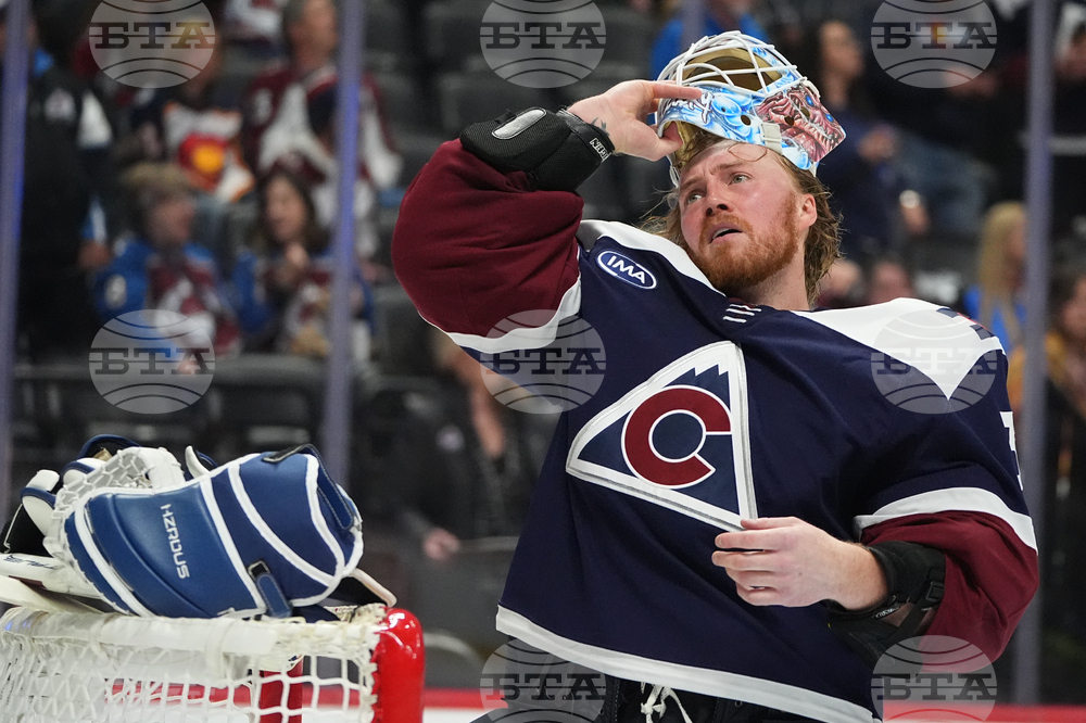 Wild Avalanche Hockey