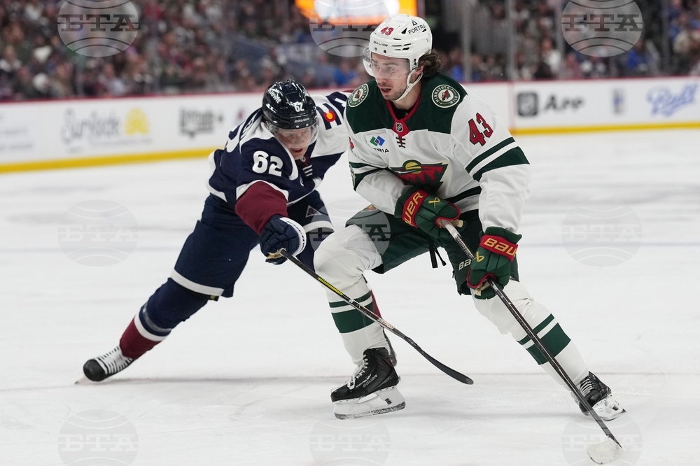 Wild Avalanche Hockey