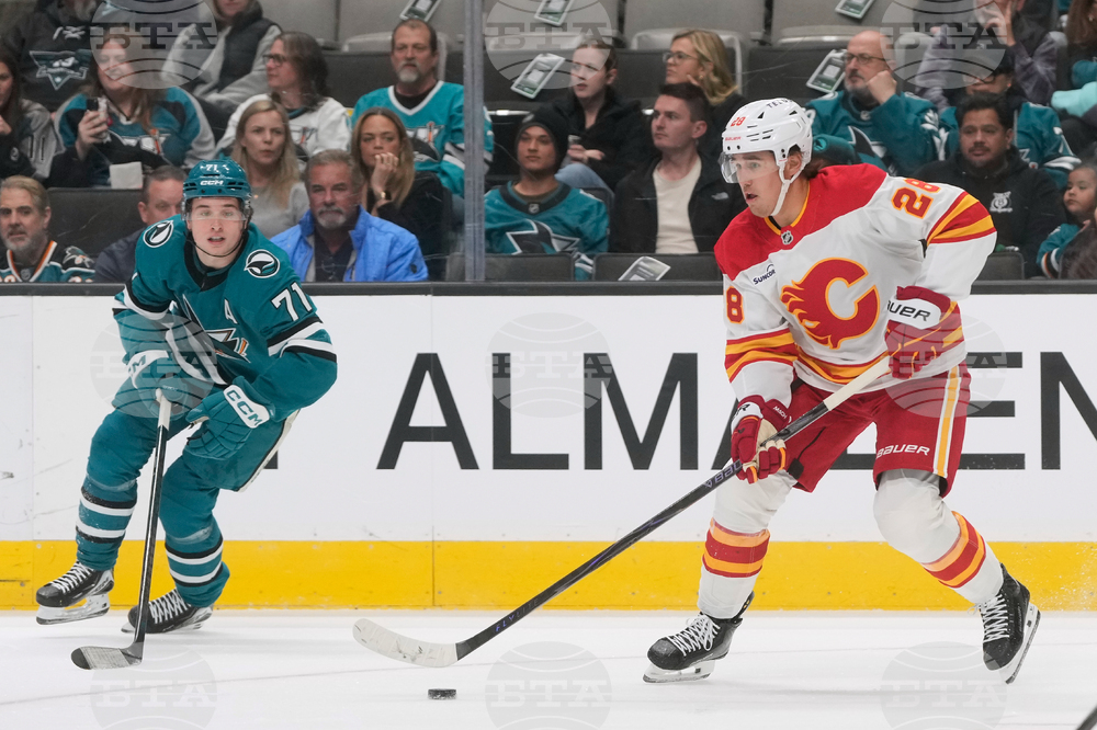 Flames Sharks Hockey