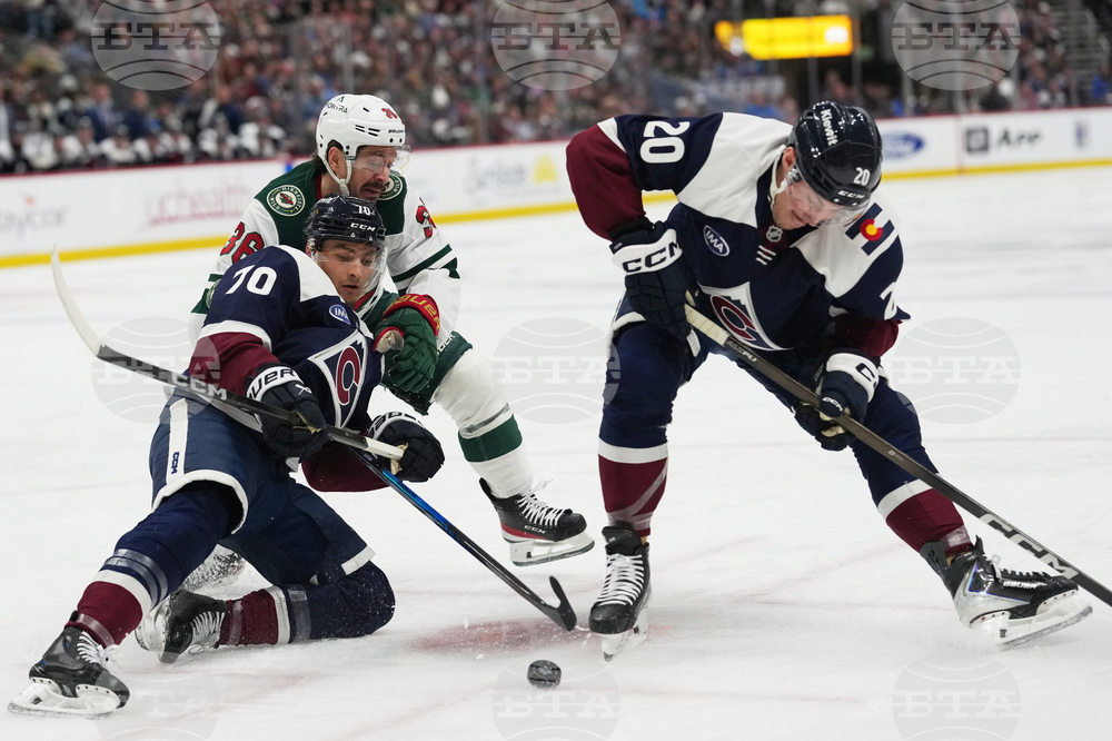 Wild Avalanche Hockey