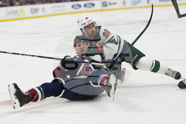 Wild Avalanche Hockey