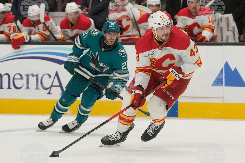 Flames Sharks Hockey
