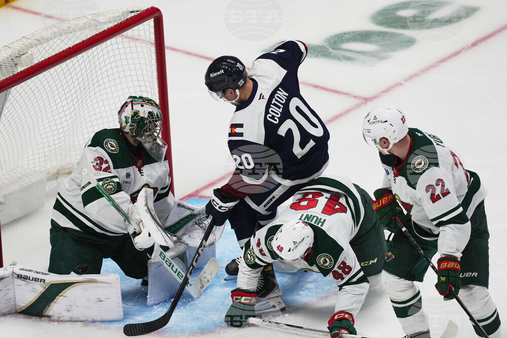 Wild Avalanche Hockey