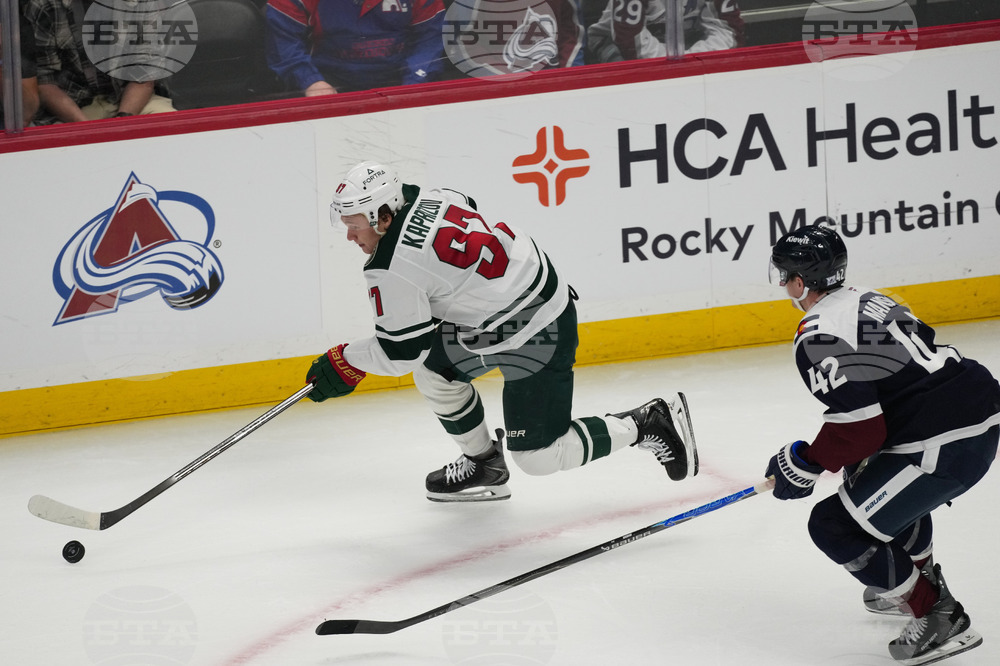 Wild Avalanche Hockey