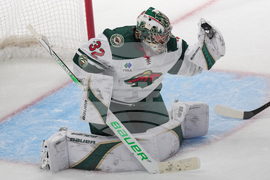 Wild Avalanche Hockey