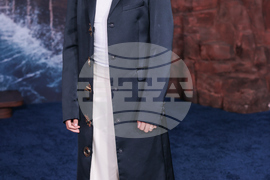 "One Piece: Into the Grand Line" Fan Event