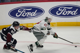 Wild Avalanche Hockey