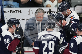 Wild Avalanche Hockey