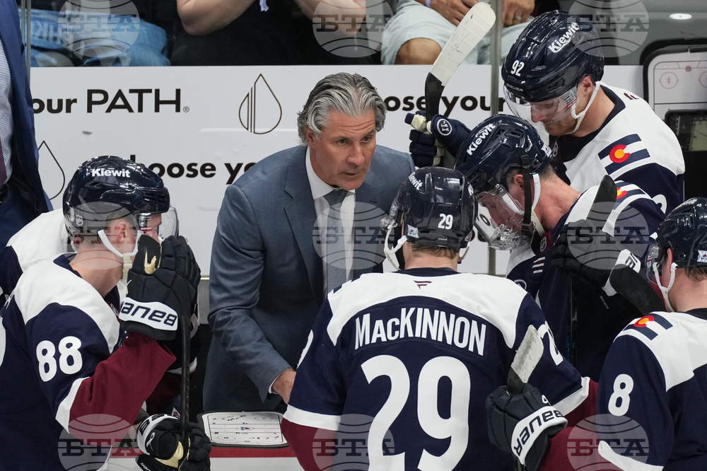 Wild Avalanche Hockey