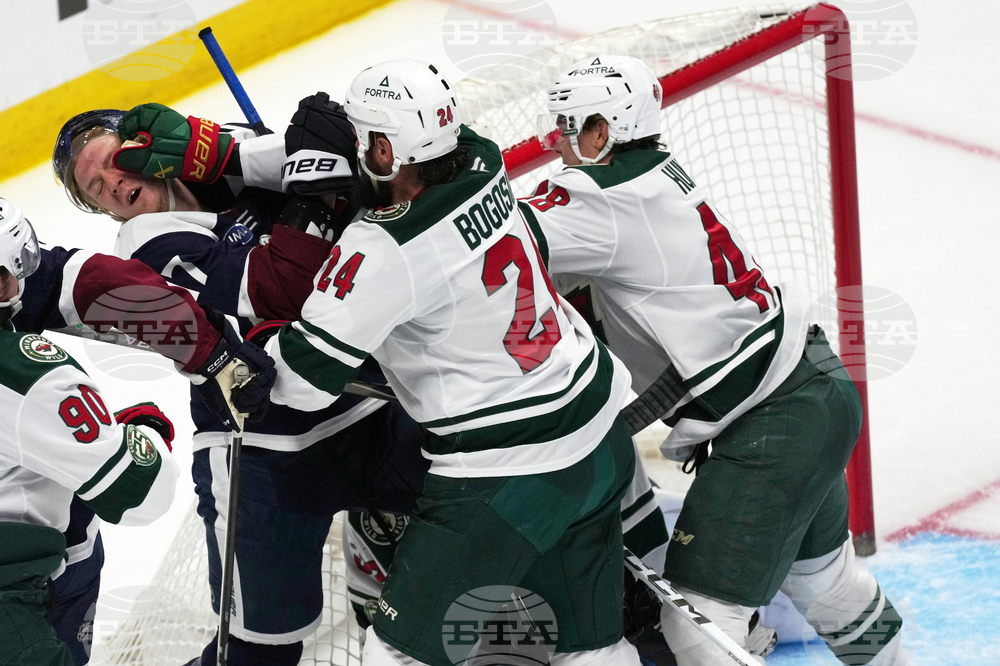 Wild Avalanche Hockey