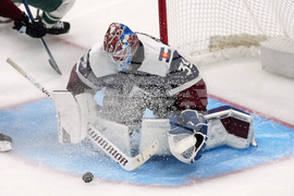 Wild Avalanche Hockey