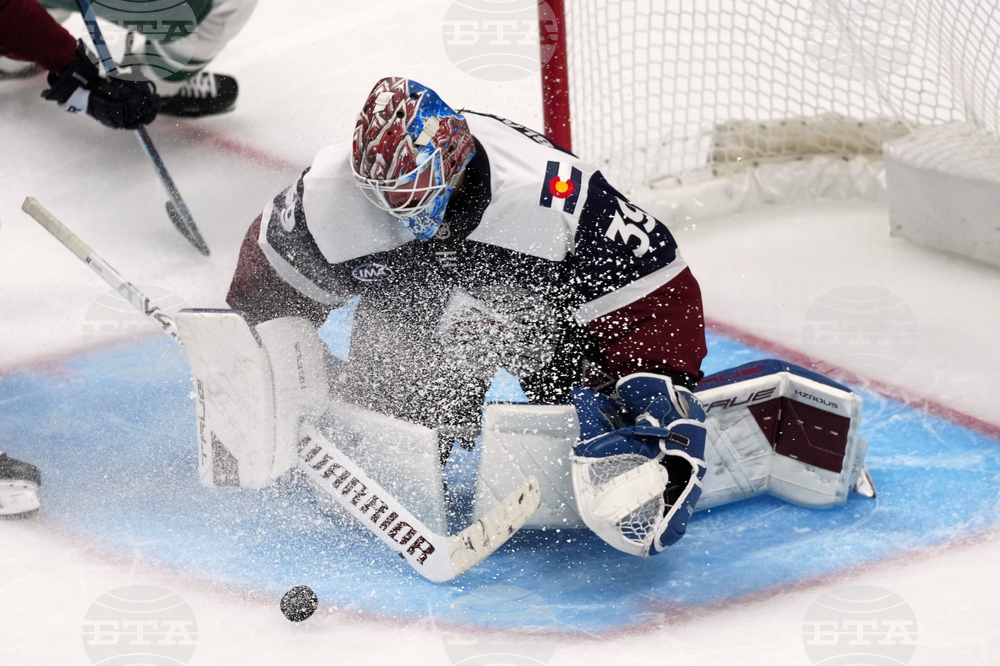 Wild Avalanche Hockey