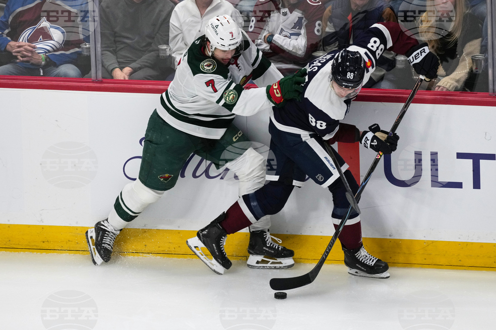 Wild Avalanche Hockey