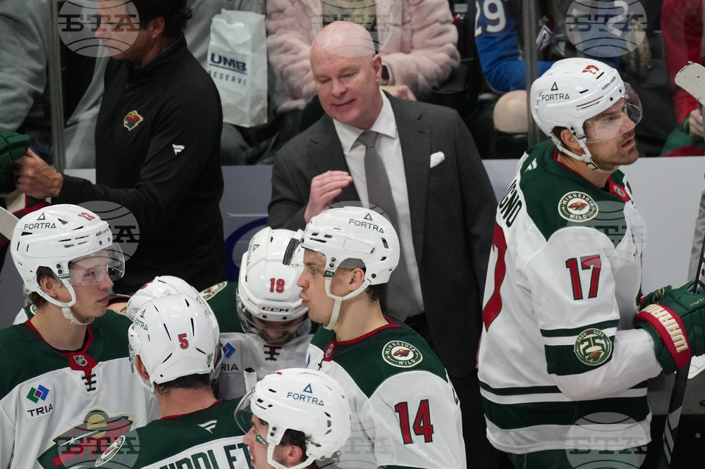 Wild Avalanche Hockey