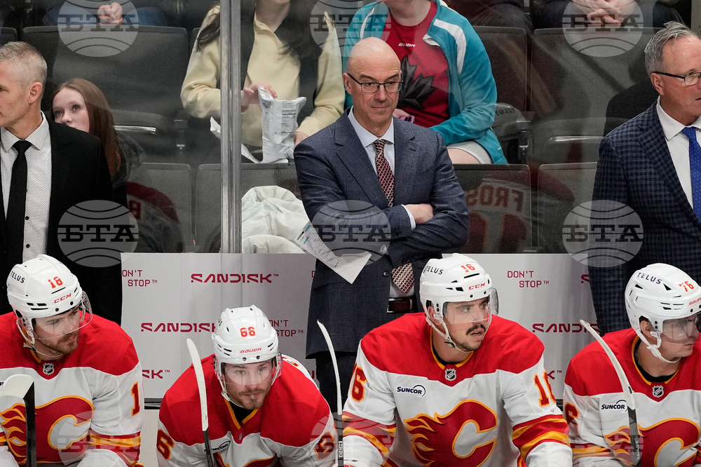 Flames Sharks Hockey