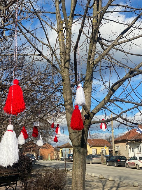 Професионална гимназия по земеделие „Климент Тимирязев“, гр. Завет: "Дърво с мартеници" за жителите на град Завет