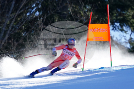 Germany World Cup Alpine Skiing