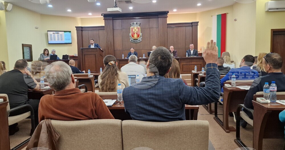 След дебати съветниците в Хасково приеха програмата за овладяване на популацията на безстопанствените кучета в общината до 2030 г.