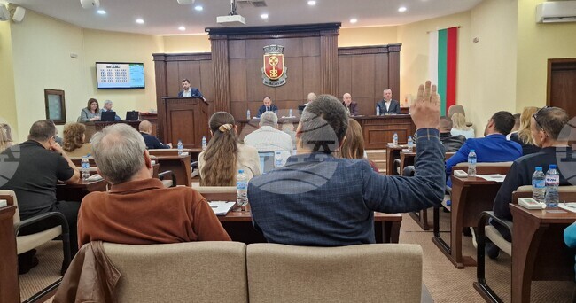 След дебати съветниците в Хасково приеха програмата за овладяване на популацията на безстопанствените кучета в общината до 2030 г.