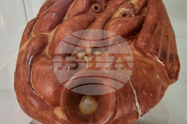 Ямбол - фестивал „Кукерландия“ - кураторски проект „Маска“