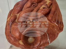 Ямбол - фестивал „Кукерландия“ - кураторски проект „Маска“