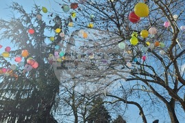 Пловдив -  Международен ден на хората с редки болести - ПГХТТ - инициатива