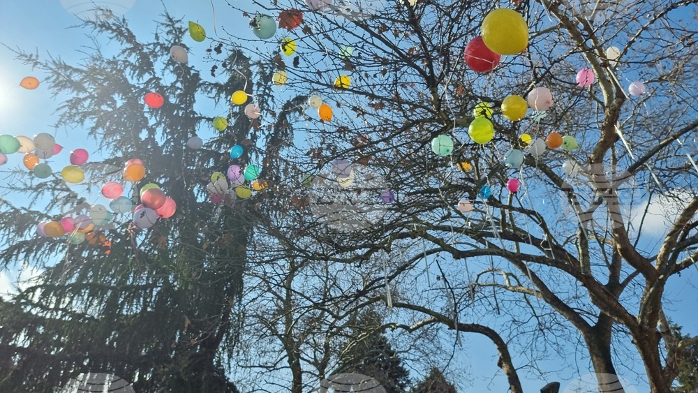 Пловдив -  Международен ден на хората с редки болести - ПГХТТ - инициатива