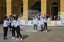 Сливен - Международен ден на хората с редки болести