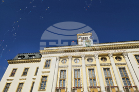 Сливен - Международен ден на хората с редки болести