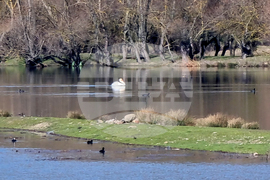 Язовир „Жребчево“ - пълноводие - Потопената църква