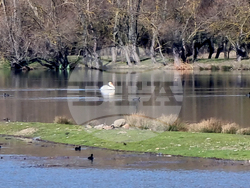 Язовир „Жребчево“ - пълноводие - Потопената църква