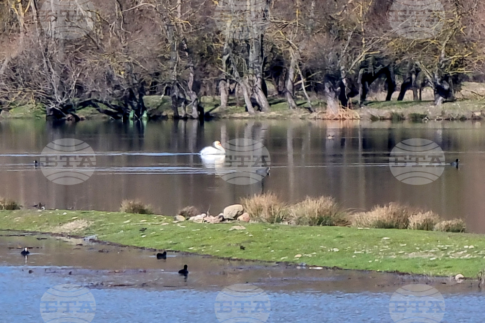 Язовир „Жребчево“ - пълноводие - Потопената църква