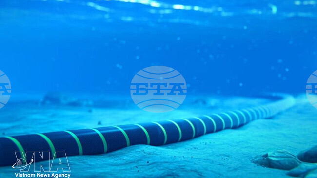 ВНА: Интернет връзката във Виетнам остава стабилна въпреки повредата на морски оптичен кабел