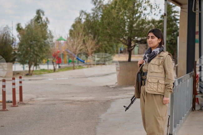 Iran Iraq Pahlavi Kurds