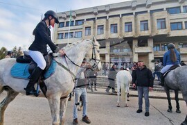 Шумен - Тодоровден - конно шествие