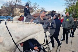 Шумен - Тодоровден - конно шествие