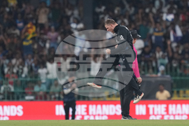 England New Zealand T20 WCup Cricket