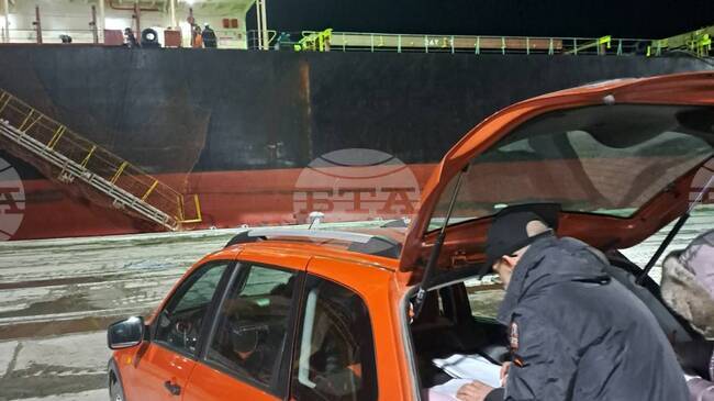 Pesticide Levels Twice Above Limit Found in Third Argentine Sunflower Seeds Shipment to Bulgaria