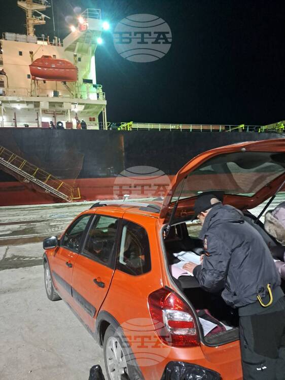 Pesticide Levels Twice Above Limit Found in Third Argentine Sunflower Seeds Shipment to Bulgaria