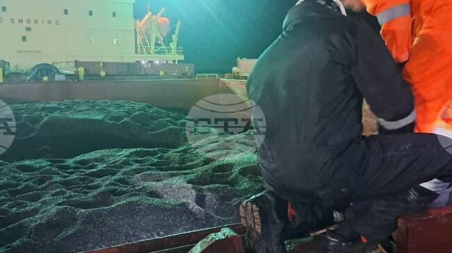 Excessive Pesticide Levels Found in Fourth Shipment of Argentine Sunflower Seeds, Food Safety Agency Reports