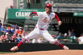 Mets Cardinals Spring Baseball