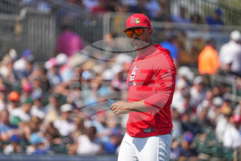 Mets Cardinals Spring Baseball