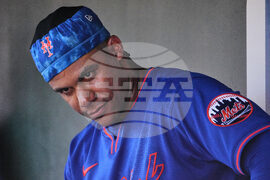 Mets Cardinals Spring Baseball