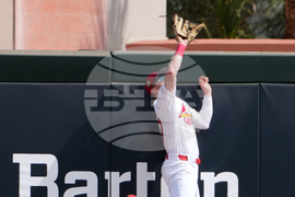 Mets Cardinals Spring Baseball