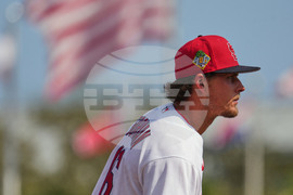 Mets Cardinals Spring Baseball